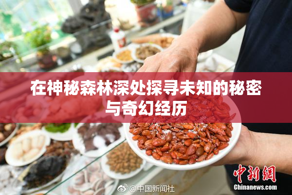 在神秘森林深处探寻未知的秘密与奇幻经历