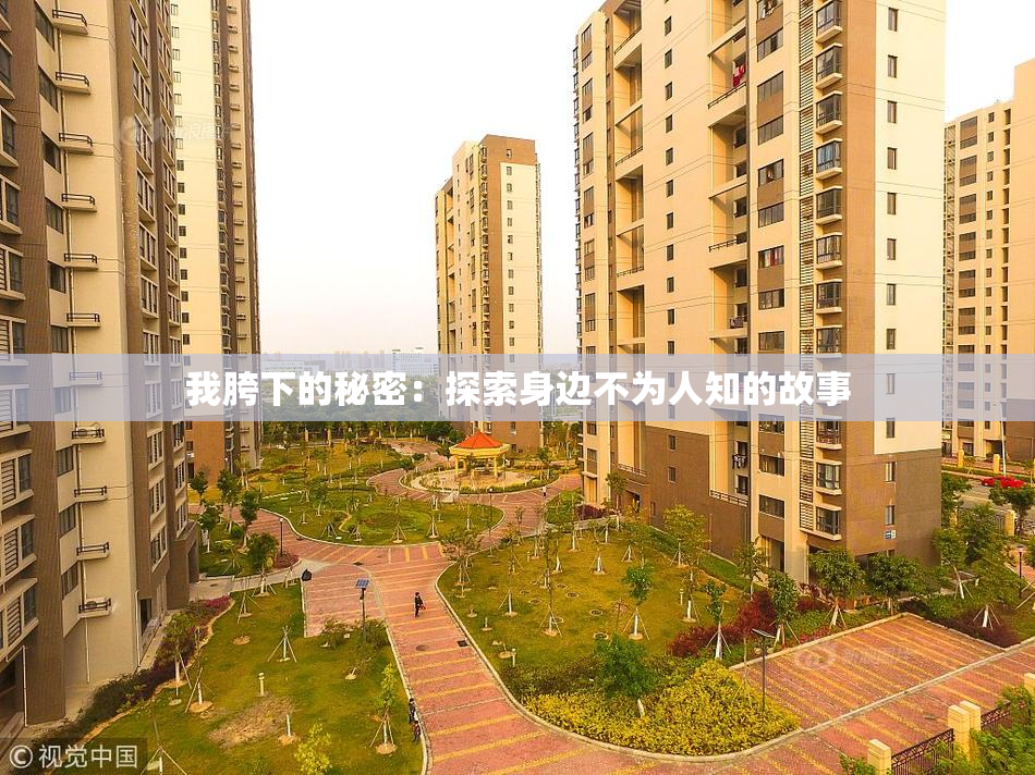 我胯下的秘密：探索身边不为人知的故事