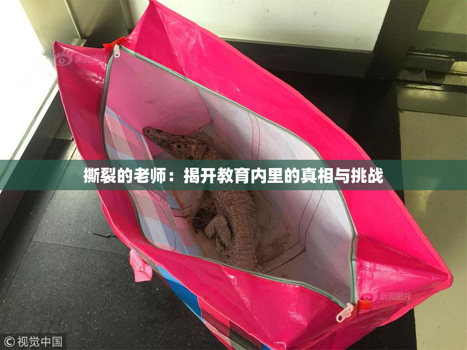 撕裂的老师：揭开教育内里的真相与挑战