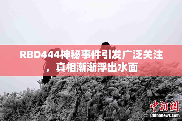RBD444神秘事件引发广泛关注，真相渐渐浮出水面