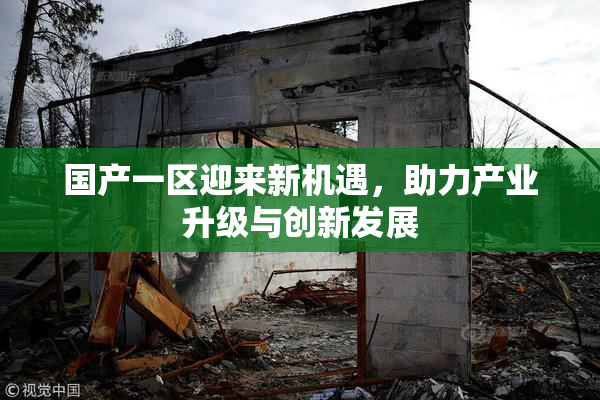 国产一区迎来新机遇，助力产业升级与创新发展