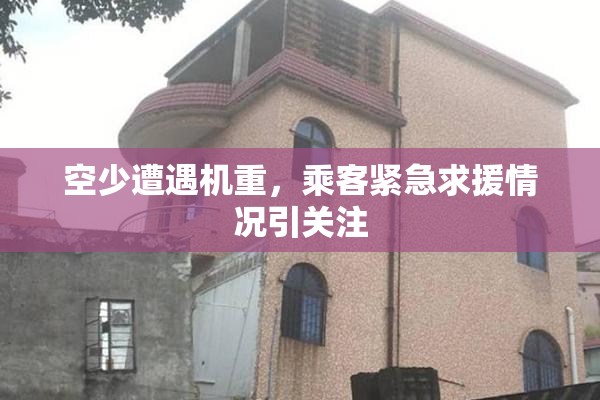 空少遭遇机重，乘客紧急求援情况引关注