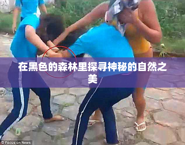 在黑色的森林里探寻神秘的自然之美