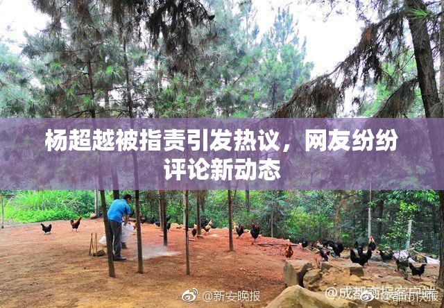 杨超越被指责引发热议，网友纷纷评论新动态