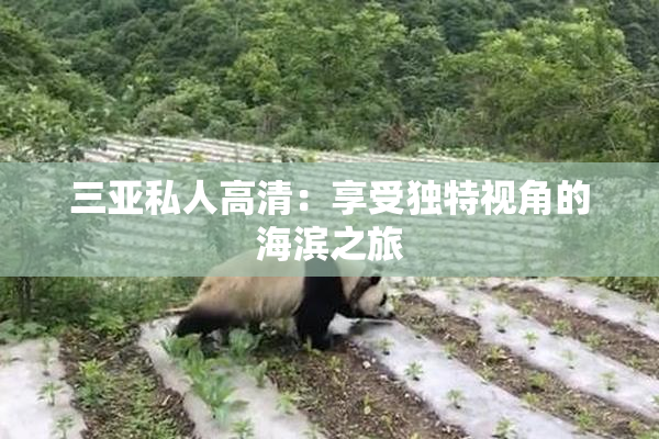 三亚私人高清：享受独特视角的海滨之旅
