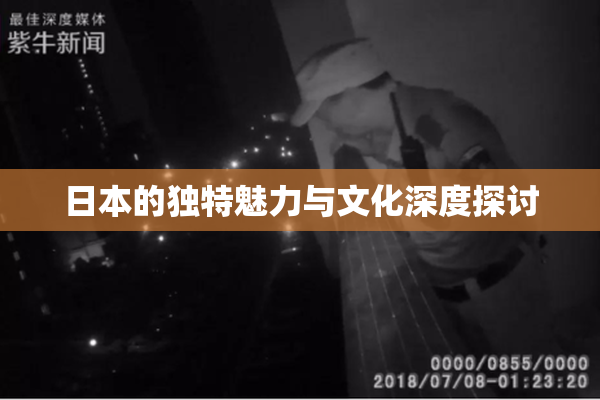 日本的独特魅力与文化深度探讨