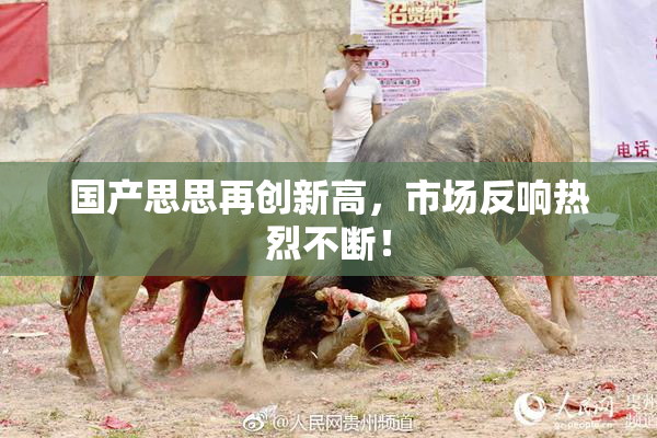 国产思思再创新高，市场反响热烈不断！