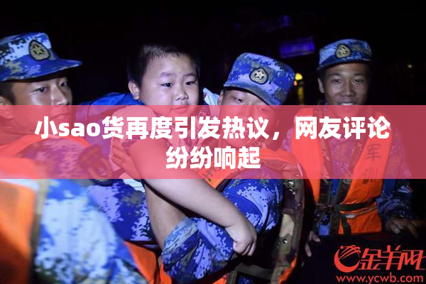 小sao货再度引发热议，网友评论纷纷响起