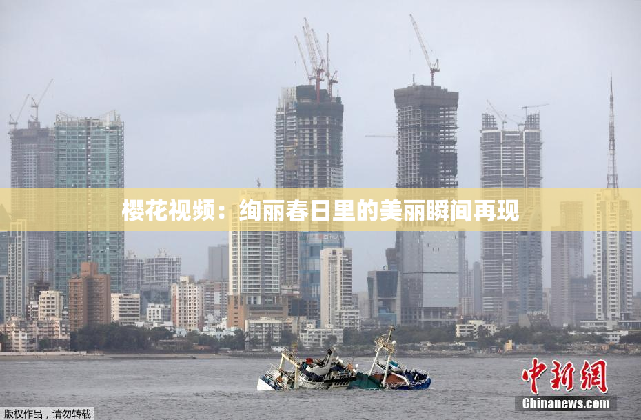 樱花视频：绚丽春日里的美丽瞬间再现