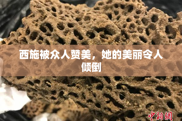 西施被众人赞美，她的美丽令人倾倒