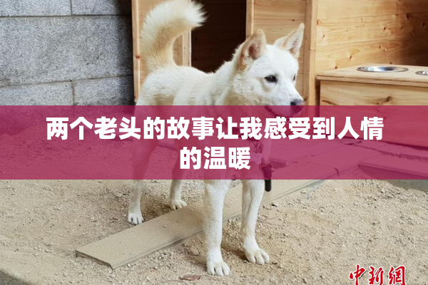 两个老头的故事让我感受到人情的温暖