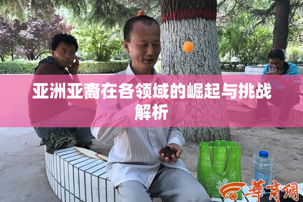 亚洲亚裔在各领域的崛起与挑战解析