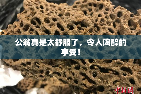 公翁真是太舒服了，令人陶醉的享受！