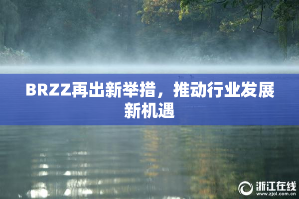 BRZZ再出新举措，推动行业发展新机遇
