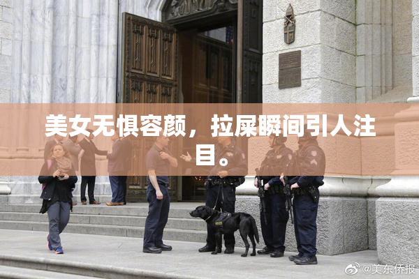 美女无惧容颜，拉屎瞬间引人注目。