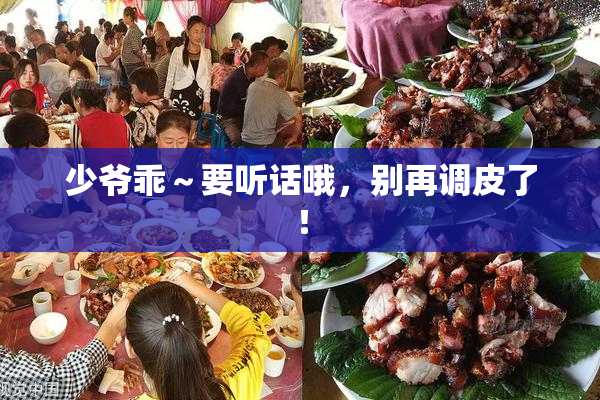 少爷乖～要听话哦，别再调皮了！