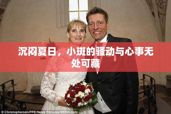 沉闷夏日，小斑的骚动与心事无处可藏