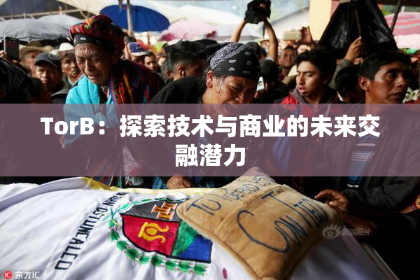 TorB：探索技术与商业的未来交融潜力