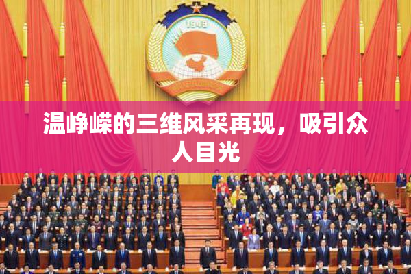 温峥嵘的三维风采再现，吸引众人目光