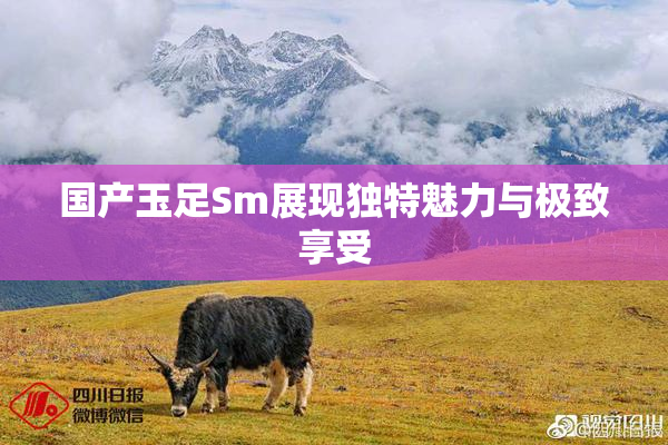 国产玉足Sm展现独特魅力与极致享受