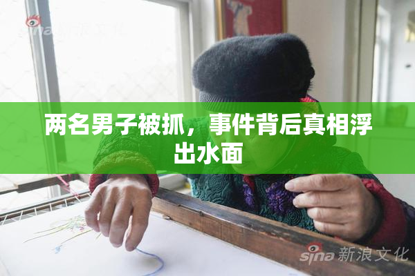 两名男子被抓，事件背后真相浮出水面