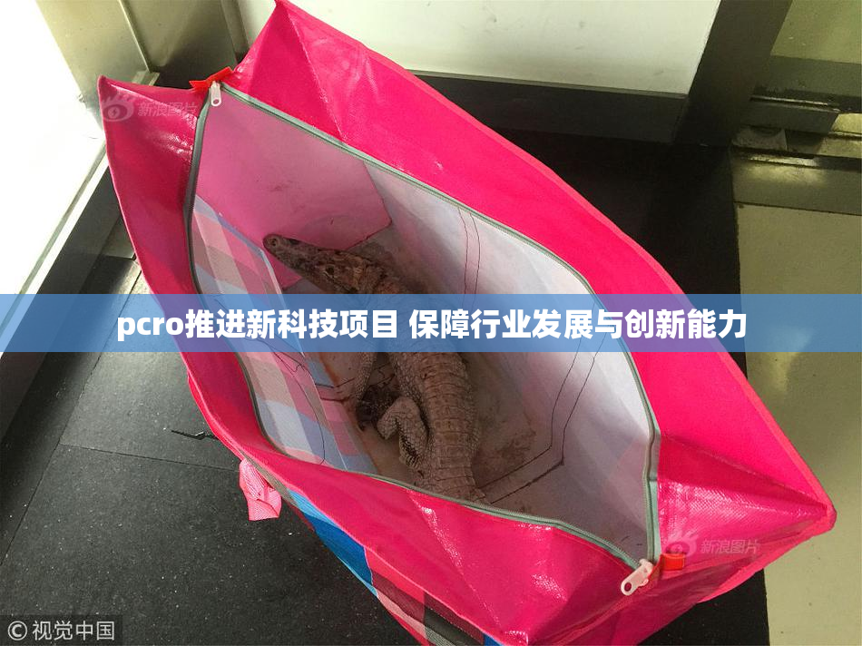 pcro推进新科技项目 保障行业发展与创新能力