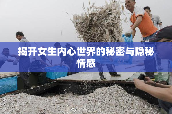 揭开女生内心世界的秘密与隐秘情感