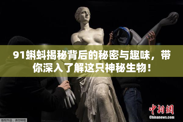 91蝌蚪揭秘背后的秘密与趣味，带你深入了解这只神秘生物！