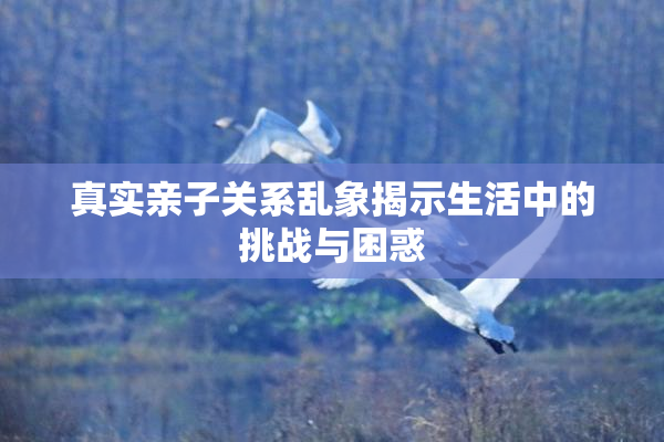 真实亲子关系乱象揭示生活中的挑战与困惑