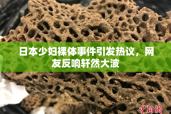 日本少妇裸体事件引发热议，网友反响轩然大波