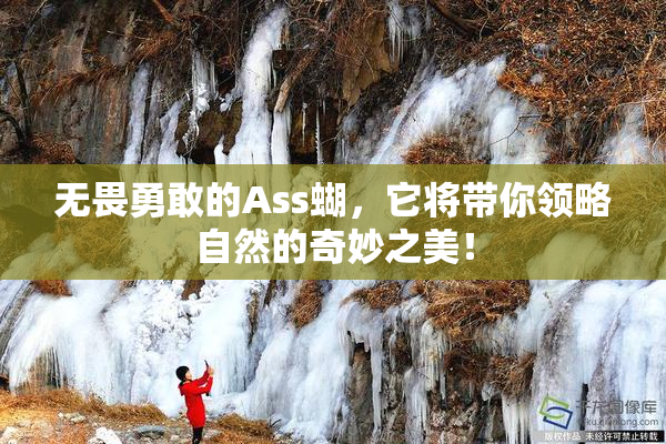 无畏勇敢的Ass蝴，它将带你领略自然的奇妙之美！
