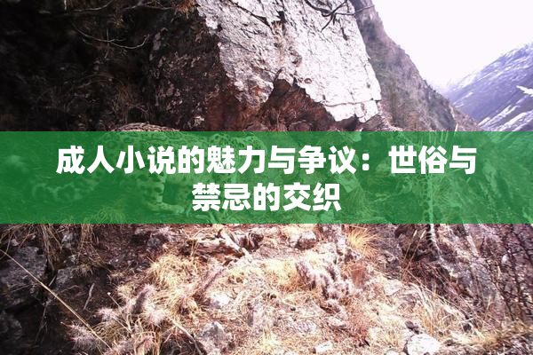 成人小说的魅力与争议：世俗与禁忌的交织