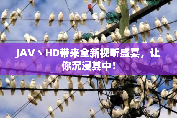 JAV丶HD带来全新视听盛宴，让你沉浸其中！