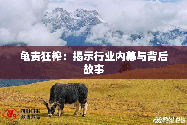 龟责狂榨：揭示行业内幕与背后故事