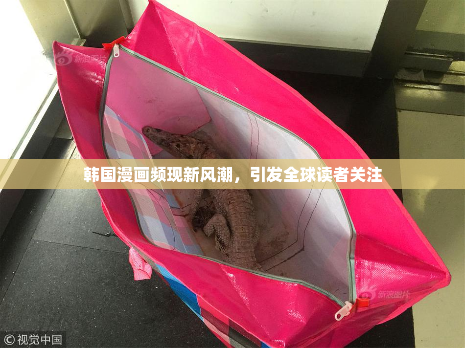 韩国漫画频现新风潮，引发全球读者关注