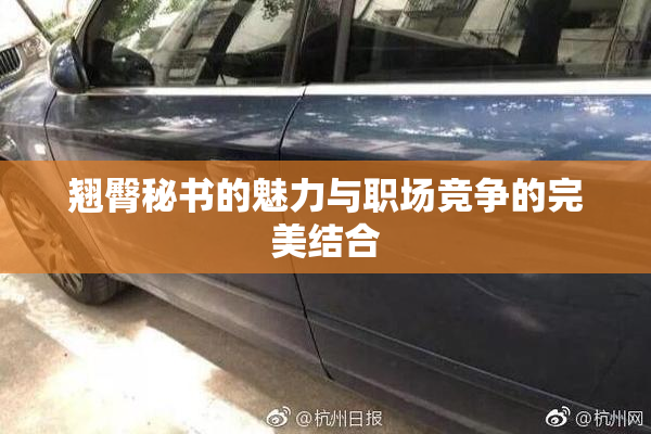 翘臀秘书的魅力与职场竞争的完美结合