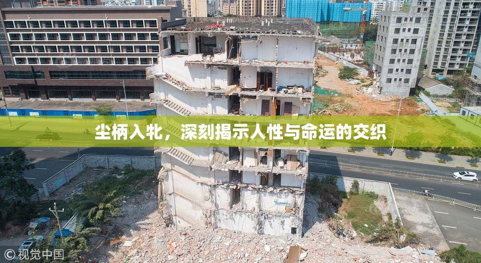 尘柄入牝，深刻揭示人性与命运的交织