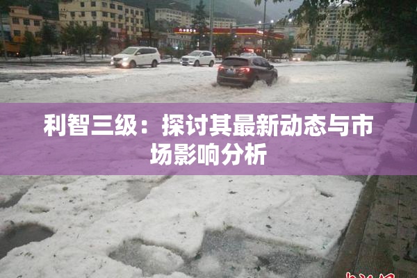 利智三级：探讨其最新动态与市场影响分析