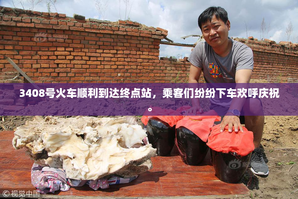 3408号火车顺利到达终点站，乘客们纷纷下车欢呼庆祝。