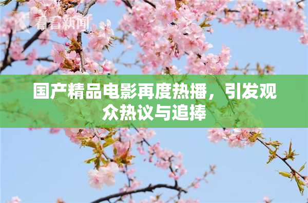 国产精品电影再度热播，引发观众热议与追捧