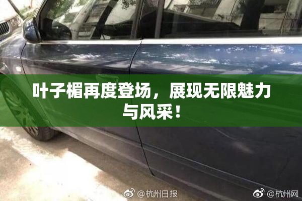 叶子楣再度登场，展现无限魅力与风采！