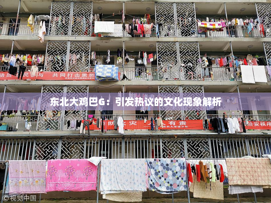 东北大鸡巴G：引发热议的文化现象解析