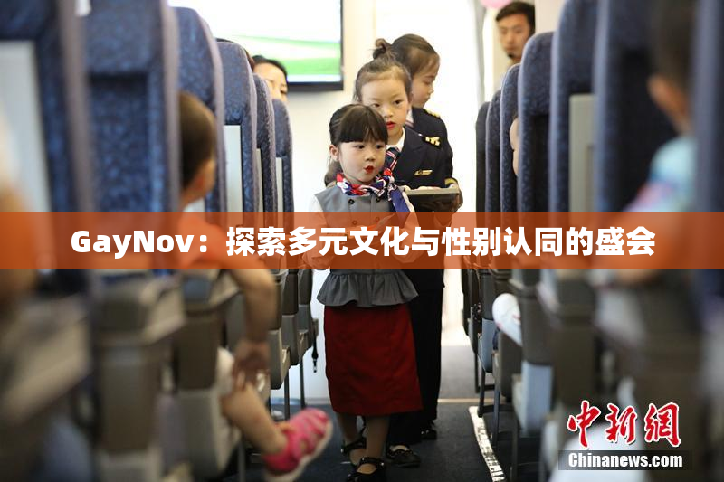 GayNov：探索多元文化与性别认同的盛会