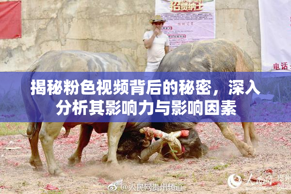 揭秘粉色视频背后的秘密，深入分析其影响力与影响因素