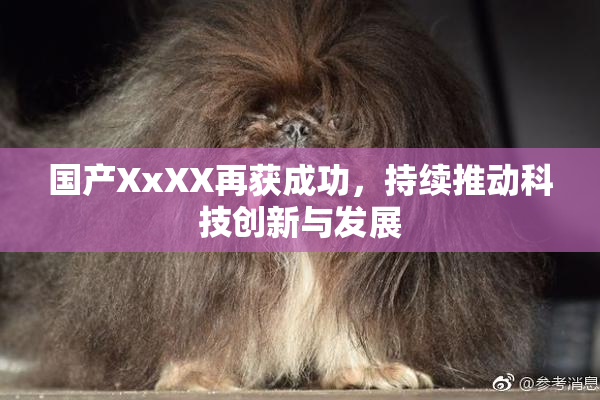 国产XxXX再获成功，持续推动科技创新与发展