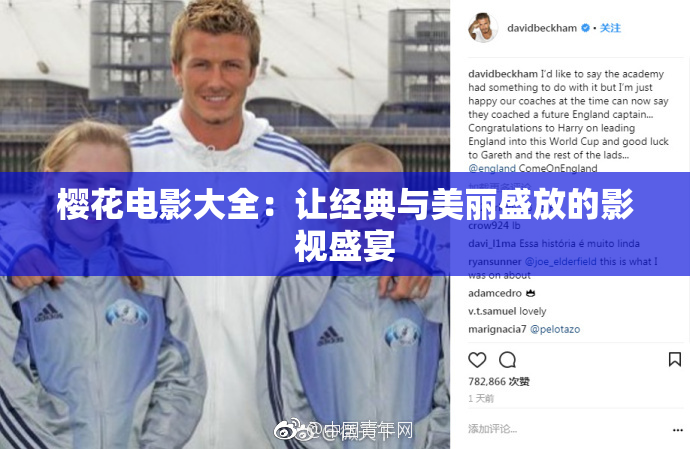 樱花电影大全：让经典与美丽盛放的影视盛宴