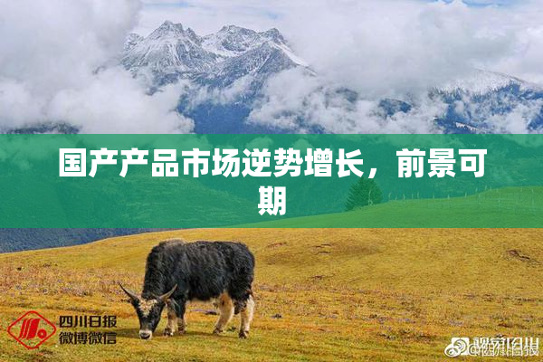 国产产品市场逆势增长，前景可期