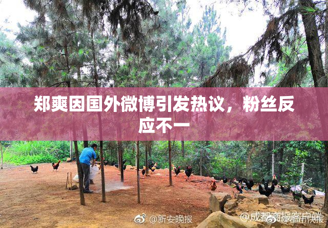 郑爽因国外微博引发热议，粉丝反应不一