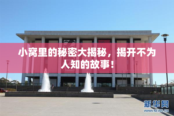 小窝里的秘密大揭秘，揭开不为人知的故事！