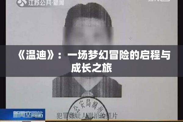 《温迪》：一场梦幻冒险的启程与成长之旅